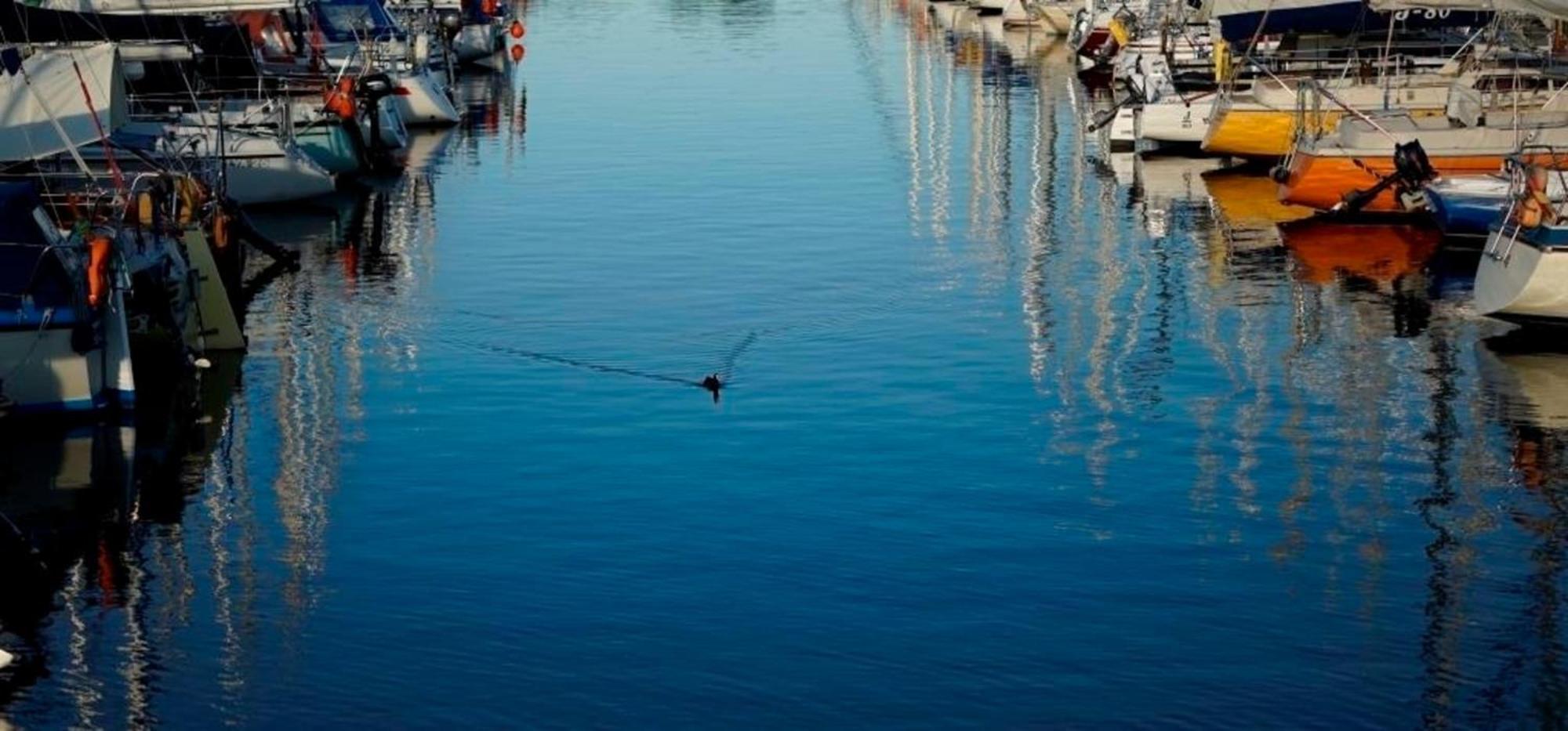 Kyst 5410 Floating Home 2 Neustadt in Holstein Dış mekan fotoğraf